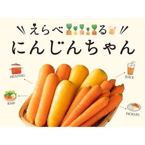 人参 人気お礼品ランキング 週間 ふるさと納税サイト さとふる