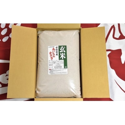 愛知県産　あいちのかおり玄米10kg　H017-096
