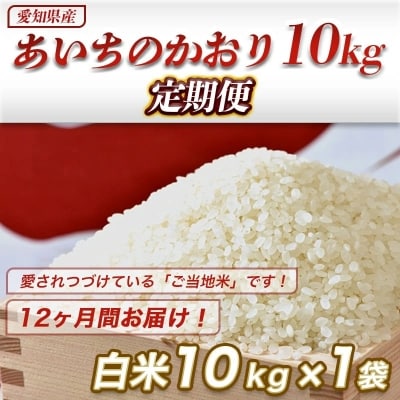 【定期便】愛知県産 あいちのかおり 10kg×12回(計120kg) H017-090