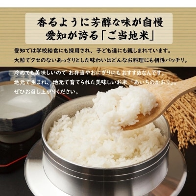 【定期便】愛知県産 あいちのかおり 10kg×12回(計120kg) H017-090