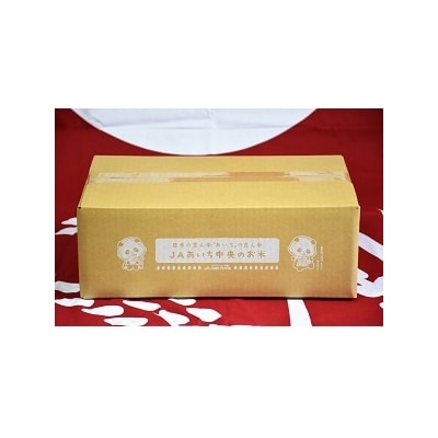 【定期便】愛知県産 あいちのかおり 10kg×12回(計120kg) H017-090