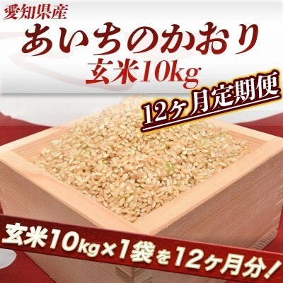 【定期便】愛知県産 あいちのかおり 玄米 10kg×12回 H017-091