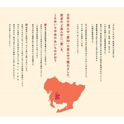 【定期便】愛知県産 あいちのかおり 玄米 10kg×12回 H017-091