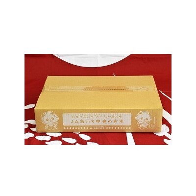 【定期便】愛知県産 あいちのかおり 玄米 10kg×12回 H017-091