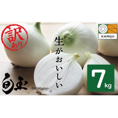 訳あり 新玉ねぎ　生がおいしい 神重農産のブランド玉ねぎ「旬玉」7kg　H105-150