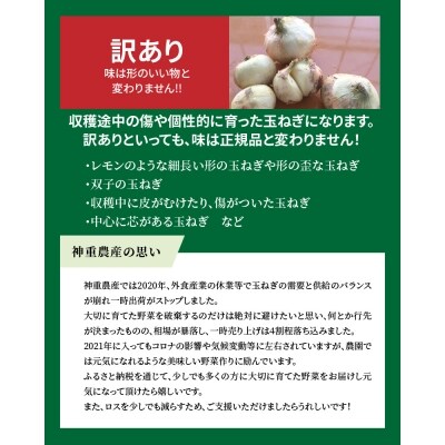 訳あり 新玉ねぎ　生がおいしい 神重農産のブランド玉ねぎ「旬玉」7kg　H105-150