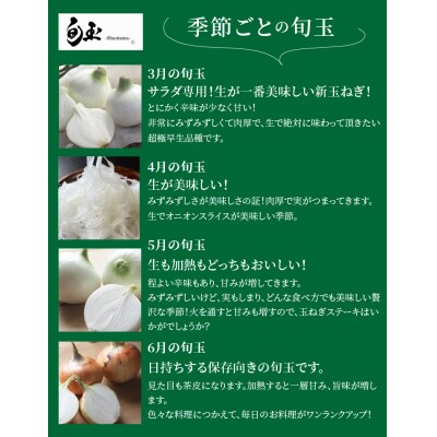 訳あり 新玉ねぎ　生がおいしい 神重農産のブランド玉ねぎ「旬玉」7kg　H105-150