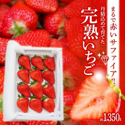 【12月以降順次発送】まるで赤いサファイア!!丹精込めた完熟いちご!約1350g　H130-011