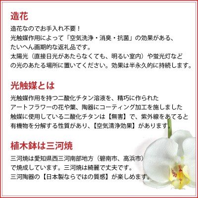 綺麗で丈夫な三河陶器で贈る光触媒胡蝶蘭小輪1本立(ピンクの陶器×桃色の花)H100-044
