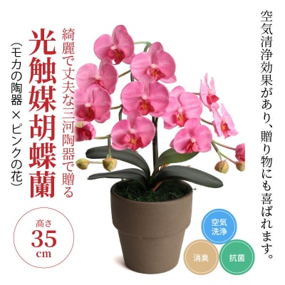 綺麗で丈夫な三河陶器で贈る光触媒胡蝶蘭小輪1本立(モカの陶器×ピンクの花)H100-050