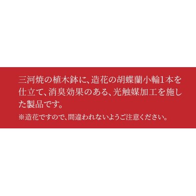 綺麗で丈夫な三河陶器で贈る光触媒胡蝶蘭小輪1本立(モカの陶器×ピンクの花)H100-050