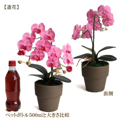 綺麗で丈夫な三河陶器で贈る光触媒胡蝶蘭小輪1本立(モカの陶器×ピンクの花)H100-050