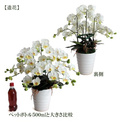 綺麗で丈夫な三河陶器で贈る光触媒胡蝶蘭小輪5本立(白の陶器×白色の花)H100-012