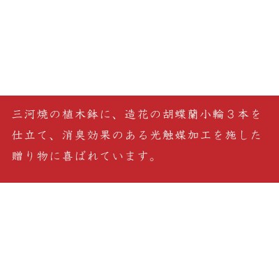 綺麗で丈夫な三河陶器で贈る 光触媒胡蝶蘭小輪1本立(やまぶきの陶器×白桃色の花)　H100-051