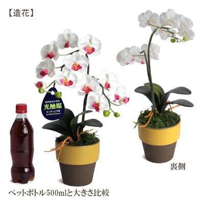 綺麗で丈夫な三河陶器で贈る 光触媒胡蝶蘭小輪1本立(やまぶきの陶器×白桃色の花)　H100-051