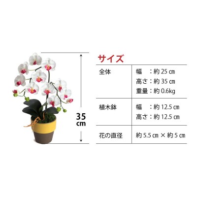 綺麗で丈夫な三河陶器で贈る 光触媒胡蝶蘭小輪1本立(やまぶきの陶器×白桃色の花)　H100-051