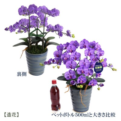 綺麗で丈夫な三河陶器で贈る 光触媒胡蝶蘭小輪3本立(ナイルブルーの陶器×紫色の花)　H100-048