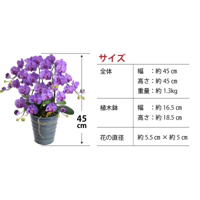綺麗で丈夫な三河陶器で贈る 光触媒胡蝶蘭小輪3本立(ナイルブルーの陶器×紫色の花)　H100-048