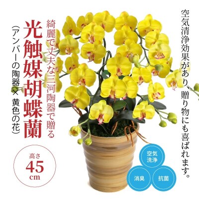 綺麗で丈夫な三河陶器で贈る 光触媒胡蝶蘭小輪3本立(アンバーの陶器×黄色の花)　H100-049