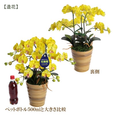 綺麗で丈夫な三河陶器で贈る 光触媒胡蝶蘭小輪3本立(アンバーの陶器×黄色の花)　H100-049