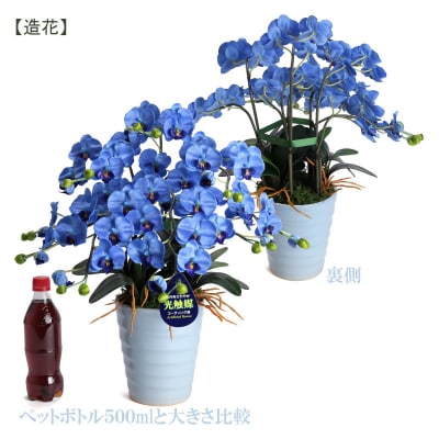 綺麗で丈夫な三河陶器で贈る 光触媒胡蝶蘭小輪5本立(スカイブルーの陶器×青色の花)　H100-034