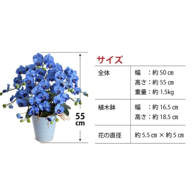 綺麗で丈夫な三河陶器で贈る 光触媒胡蝶蘭小輪5本立(スカイブルーの陶器×青色の花)　H100-034