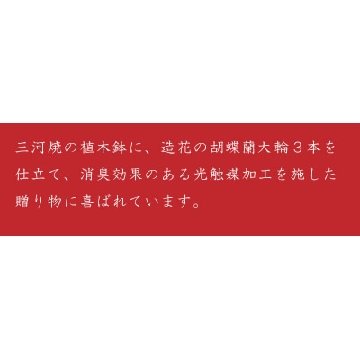 綺麗で丈夫な三河陶器で贈る 光触媒胡蝶蘭大輪3本立(ローズの陶器×桜色の花)　H100-036