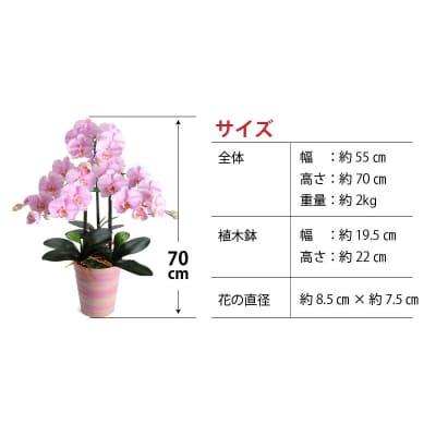 綺麗で丈夫な三河陶器で贈る 光触媒胡蝶蘭大輪3本立(ローズの陶器×桜色の花)　H100-036