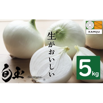 【2026年発送】新玉ねぎ　生がおいしい　神重農産のブランド玉ねぎ「旬玉」5kg　H105-176