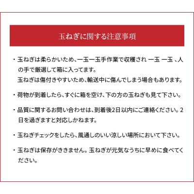 【2026年発送】新玉ねぎ　生がおいしい　神重農産のブランド玉ねぎ「旬玉」10kg　H105-177