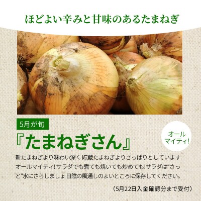 【2023年発送】『たまんねーぎ』たまねぎさん 約7kg H116-019