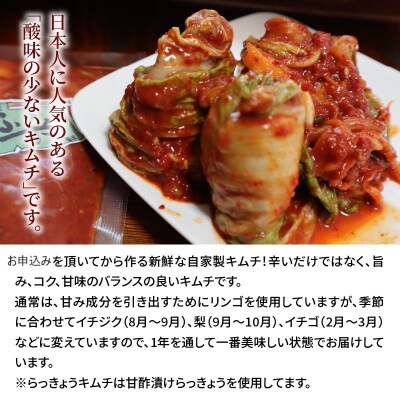 手作り キムチ3点セット 白菜×らっきょう×さきいか 無添加無着色 国産野菜使用　H129-018
