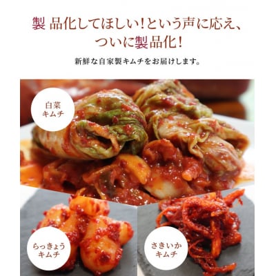 手作り 白菜キムチ 500g 無添加無着色 国産野菜使用 酸味少なめ　H129-017