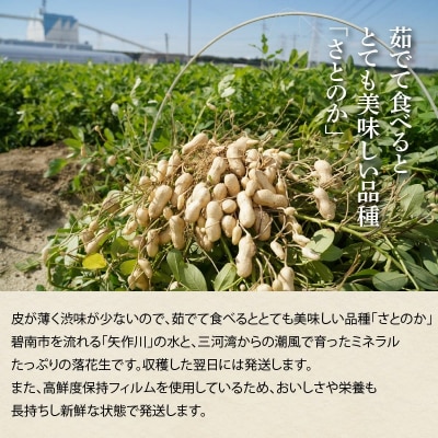 生落花生 さとのか2kg 高鮮度保持フィルム使用　耕地の美味しい野菜シリーズ第5弾　H132-029
