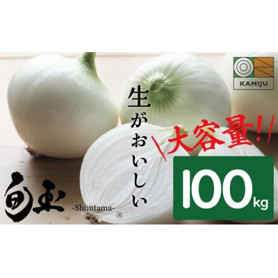 容量100kg 新玉ねぎ 生がおいしい「旬玉」　H105-050