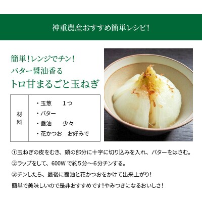 容量100kg 新玉ねぎ 生がおいしい「旬玉」　H105-050