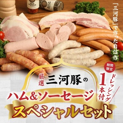 ドレッシング1本付き 厳選三河豚のハム&ソーセージスペシャルセット H094-037