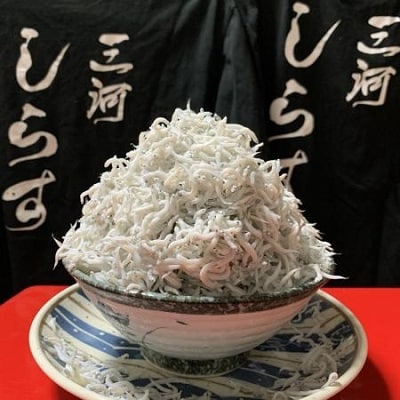 【定期便(全3回)】コロナ支援 訳あり モリモリ2kg!バラエティ豊富な三河しらす　H018-030