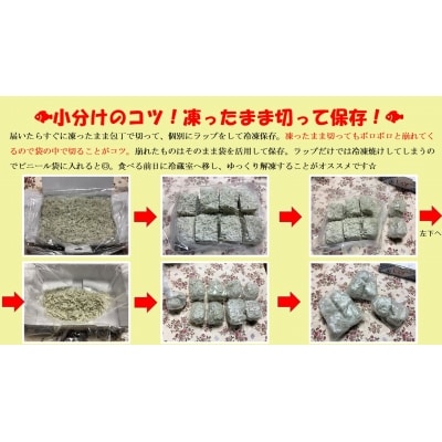 【定期便(全3回)】コロナ支援 訳あり モリモリ2kg!バラエティ豊富な三河しらす　H018-030