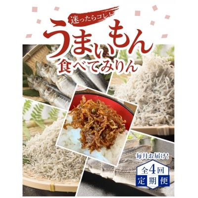 【定期便】迷ったらコレ!!丸久水産のうまいもん食べてみりん(毎月お届け全4回)　H018-031