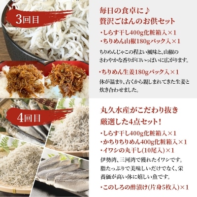 【定期便】迷ったらコレ!!丸久水産のうまいもん食べてみりん(毎月お届け全4回)　H018-031