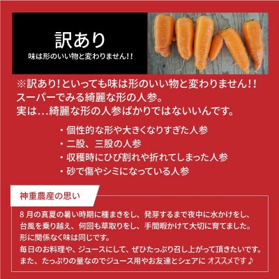 【訳あり 増量】 3回定期便 にんじん キャロットジュース　1月～3月お届け H105-209