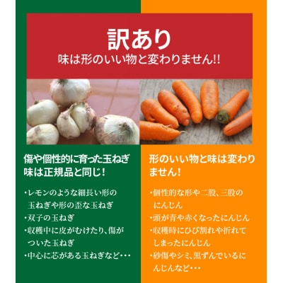 訳あり にんじん 新玉ねぎ定期便 2回旬の美味しい季節にお届けマドンナキャロット旬玉H105-106