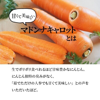 定期便 全3回　無添加 上質フルーティーマドンナキャロットジュース720ml×2本　H105-164