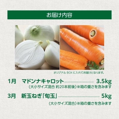 にんじん 新玉ねぎ 定期便2回　旬の美味しい季節にお届け マドンナキャロット 旬玉　H105-107