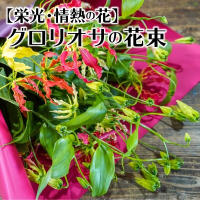 栄光 情熱の花 グロリオサの花束 H092 021 お礼品詳細 ふるさと納税なら さとふる
