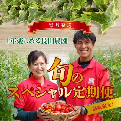 【個数限定】毎月発送!1年楽しめる長田農園 旬のスペシャル定期便　H004-150