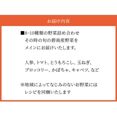 目利きのプロ 八百屋厳選 野菜詰め合わせセット(8～10種類お届け)　H151-010
