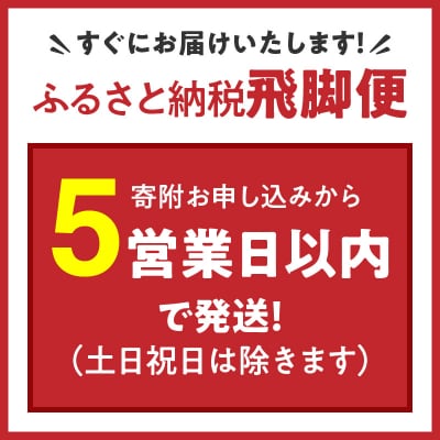 愛知県産コシヒカリ 5Kg　安心安全なヤマトライス 米 白米 国産 精米 H074-687