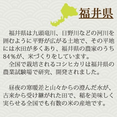 福井県産いちほまれ 10kg(5kg×2袋) 安心安全なヤマトライス H074-280